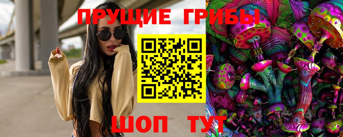 Псилоцибиновые грибы мицелий Южноуральск